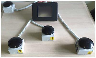Focused and Sustained Attention Is Modified by a Goal-Based Rehabilitation in Parkinsonian Patients